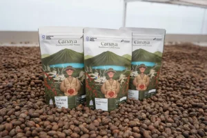 Pertamina Hadirkan Energi Bersih Melalui Proyek Kopi
