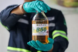 Petani Minta Program B50 Tak Terburu-buru, Bisa Turunkan Harga Sawit