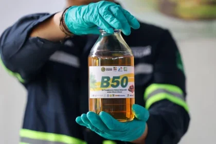 Petani Minta Program B50 Tak Terburu-buru, Bisa Turunkan Harga Sawit