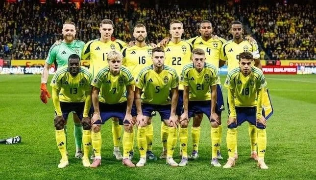 Piala Dunia 2026: Bosnia Tetap Yakin Lolos Meski Dibantai Swiss 1-4