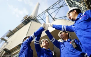 PLN IP Lakukan Panen Raya dan Pengiriman Perdana Biomassa Sorgum Dust