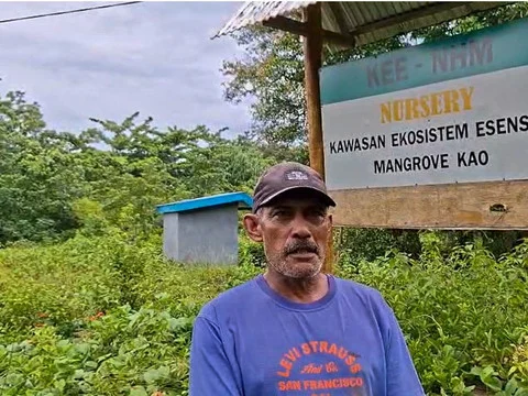 Program Mangrove NHM di Kao Efektif Pulihkan Ekosistem Pesisir