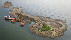Pulau Sampah di Pesisir Jakarta, Ancaman Pencemaran Laut yang Mengkhawatirkan