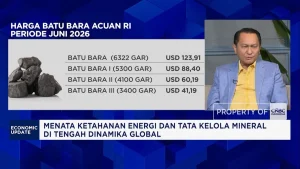Revisi RKAB Batu Bara 2026: Komisi XII Ungkap Sebab Perubahan