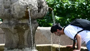 Suhu Panas Mencapai 41,9°C, Ribuan Orang Tewas di Eropa