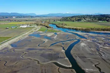 Suku Stillaguamish Beli Lahan Pertanian untuk Dibanjiri, Apa Tujuannya?