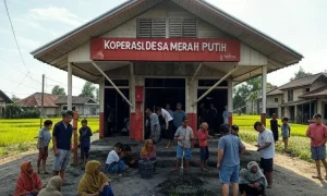 Tragedi di Balik Program Koperasi Desa Merah Putih