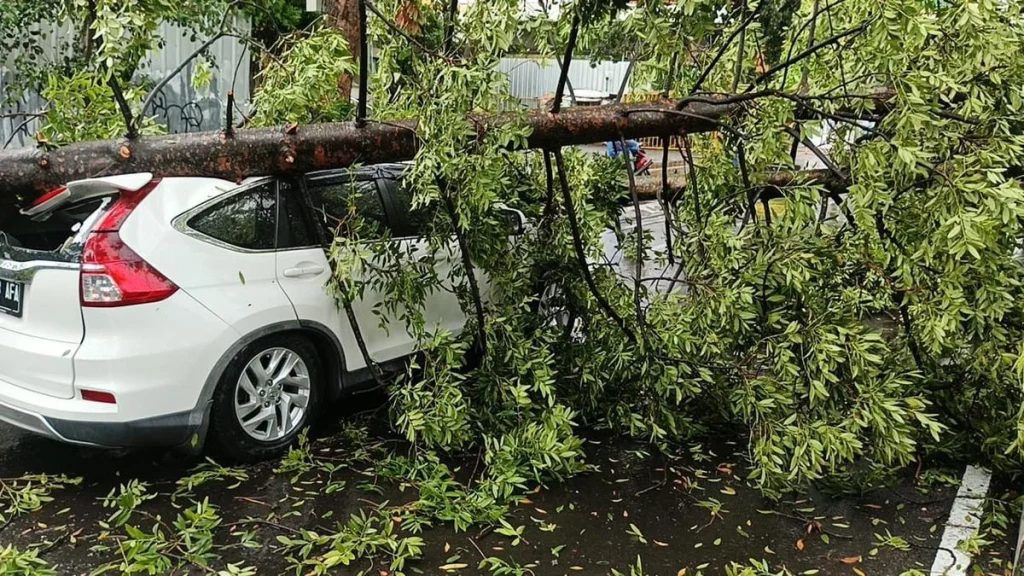 Tragedi Keluarga di Jerman: Enam Orang Tewas