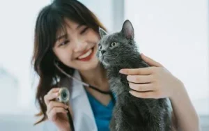 6 Pekerjaan dengan Gaji Tinggi yang Cocok untuk Introvert