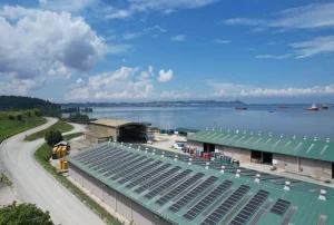 Antisipasi Blackout, Pengembangan Energi Panas Bumi Indonesia Butuh Dipercepat