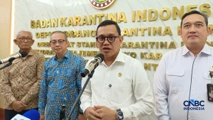 Badan Karantina RI Rombak 22 Aturan untuk Meningkatkan Layanan Ekspor