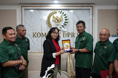 Danais DIY Dinilai Berdampak, Kemenkeu & Banggar DPR RI Sambut Usulan Penguatan