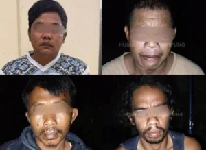 Empat Pembunuh Tapir Langka di Lampung Ditangkap
