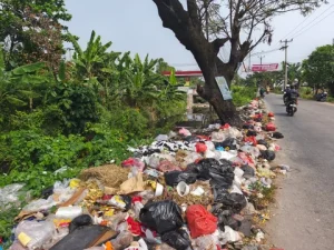 Jalur-jalur Sampah di Jalanan Bekasi: Masalah yang Harus Ditangani