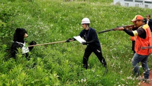 Jepang Gelar Simulasi Darurat Setelah Beruang Liar Melumpuhkan Aktivitas di Tochigi