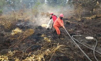 Kebakaran TPA Jatiwaringin di Banten Belum Padam, BNPB Kerahkan Helikopter Water Bombing