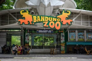 Pemkot Bandung Terima Rp4,3 M dari Pengelola Baru Kebun Binatang
