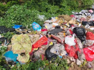 Tumpukan Sampah Liar di Kawasan Babelan, Bekasi: Mengganggu Keseimbangan Lingkungan